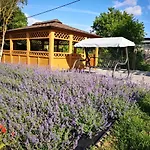Apartamenty, Zielone Wzgorze Wiktora W Mikolajkach Appartement Mikołajki