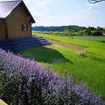 公寓 Apartamenty, Zielone Wzgorze Wiktora W Mikolajkach *